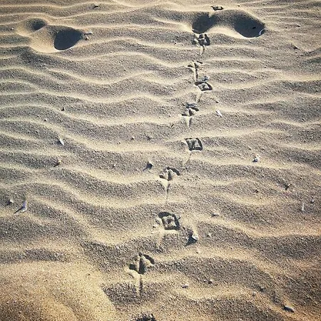 Study Du Pecheur Апартаменты