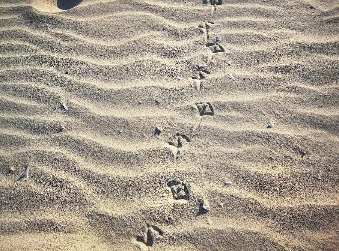 Study Du Pecheur Apartment